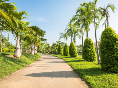 Jogging Track